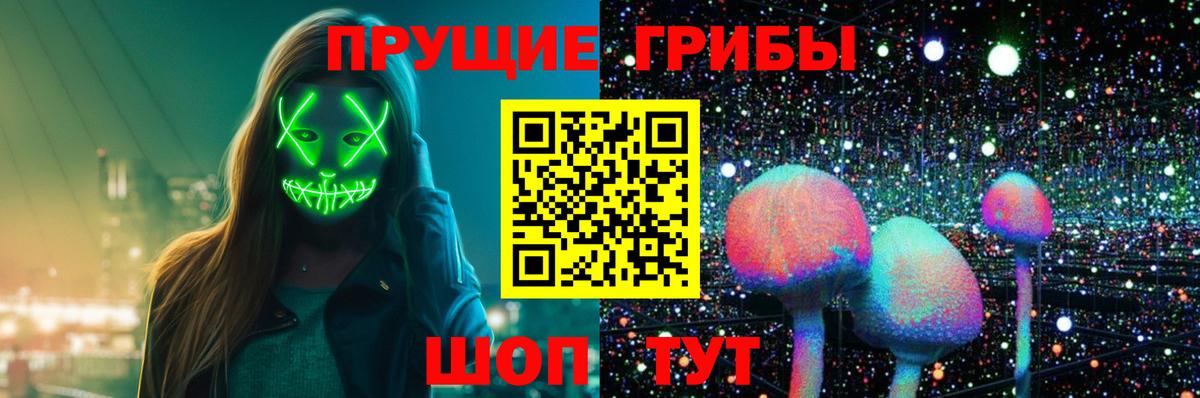 Котлас  Галлюциногенные грибы мицелий  Вход с VPN 